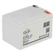Изображение товара Тяговый аккумулятор SKN 6-DZF-12 (12V14.5A/H C5)