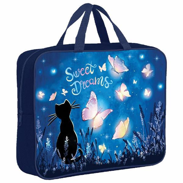 Изображение товара Папка для труда Brauberg 270959