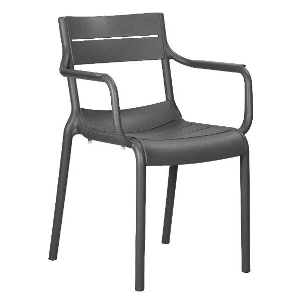 Изображение товара Стул для сада DOBRIN Tim Arm LMZL-PP903 темно-серый