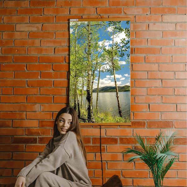 Изображение товара Инфракрасный обогреватель Домашний очаг Березы