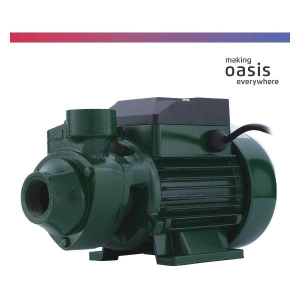 Изображение товара Насос поверхностный Oasis P-550V