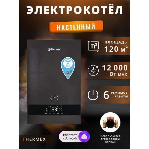 Изображение товара Электрический котел Thermex Sonne 12 Wi-Fi Grey