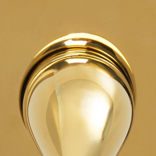 Изображение товара Лейка для душа Wasserkraft A208 Golden