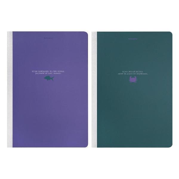 Изображение товара Тетрадь Brauberg ДЭК А4 96л. КОМПЛЕКТ 2 шт.  на сшивке с корешком, клетка, Monocolor, 405298