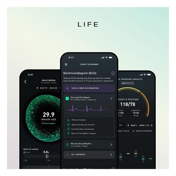 Изображение товара Фитнес-браслет Whoop MG LIFE
