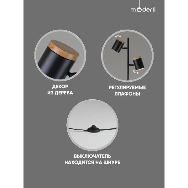 Изображение товара Светильник напольный, торшер Moderli V11287-2F Asheswood