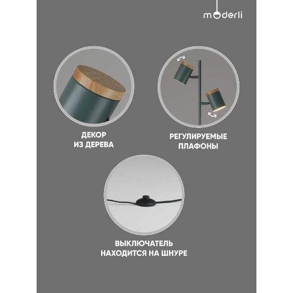 Изображение товара Светильник напольный, торшер Moderli V11290-2F Asheswood