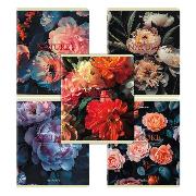 Изображение товара Тетрадь Brauberg ДЭК 48л 5шт Funny Animals кл BRG