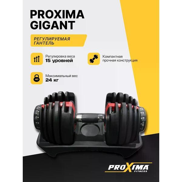 Изображение товара Гантель Proxima Gigant, 24 кг