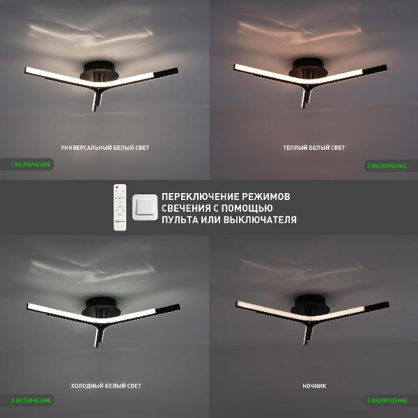 Изображение товара Люстра потолочная Estares RUBY 60W BLACK/WHITE