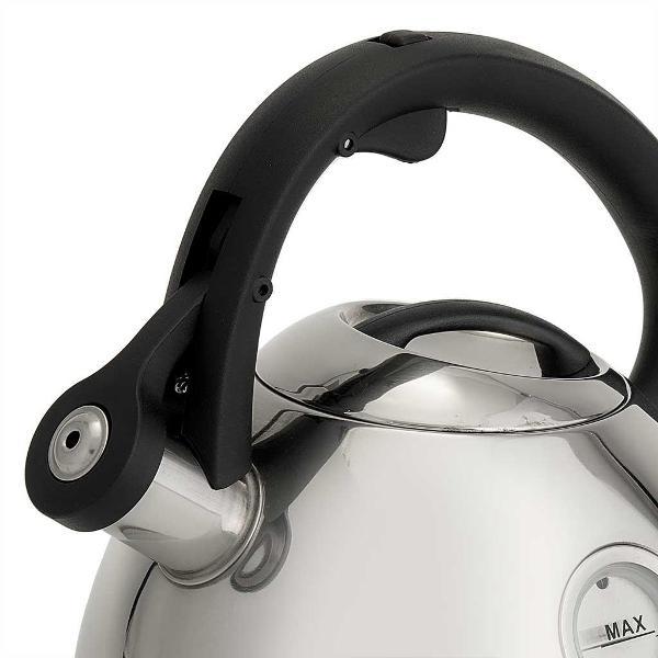 Изображение товара Чайник для плит Alpenkok AK-535