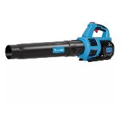 Изображение товара Воздуходувка аккумуляторная FIXTEC FCGB201X