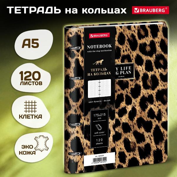 Изображение товара Тетрадь Brauberg 405209