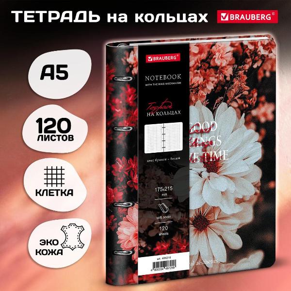 Изображение товара Тетрадь Brauberg 405210