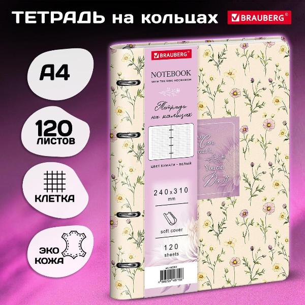 Изображение товара Тетрадь Brauberg 405204