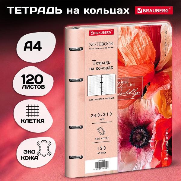 Изображение товара Тетрадь Brauberg 405205