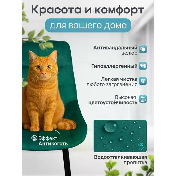 Изображение товара Стул обеденный Русский стул Эко