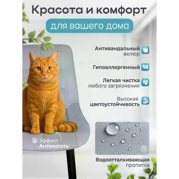 Изображение товара Стул обеденный Русский стул Эко