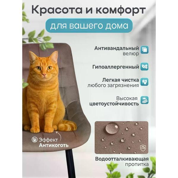 Изображение товара Стул обеденный Русский стул Эко