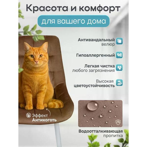 Изображение товара Стул обеденный Русский стул Эко