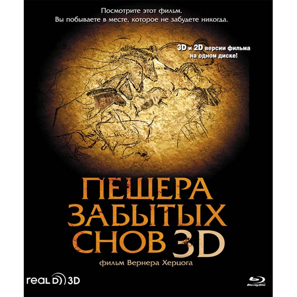 забытые сны отзывы. забытые сны отзывы. почему люди забывают сны. почему мы забываем сны. забытые сны.