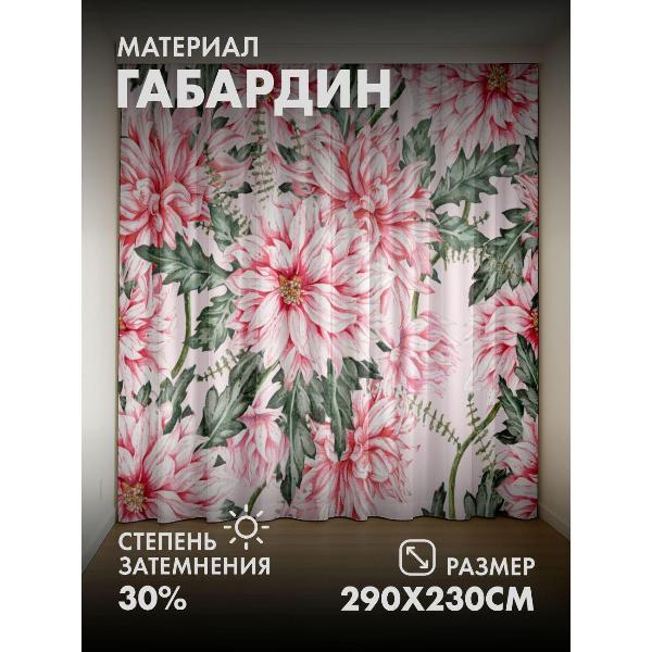 Изображение товара Фотошторы 365home 3D Розовые хризантемы с зелеными