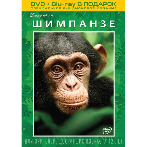 Флэш-диск Smartbuy 32GB Wild series Обезьянка (SB32GBMonkey) [1]