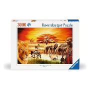 Изображение товара Пазл Ravensburger 3000 Саванна Масаи, арт.17056