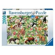 Изображение товара Пазл Ravensburger 2000 Джунгли, арт.16824