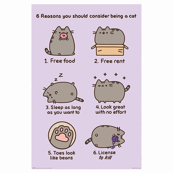 фото Сувенир pyramid постер pusheen: reasons to be a cat