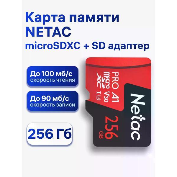 Изображение товара Карта памяти Netac NT02P500PRO-256G-R