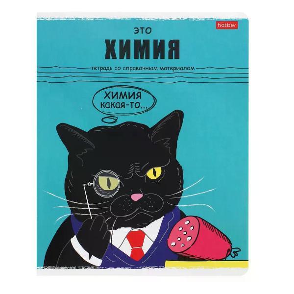 Изображение товара Сменный блок для тетради Hatber Тетрадь предметная 48 листов - 1ед.