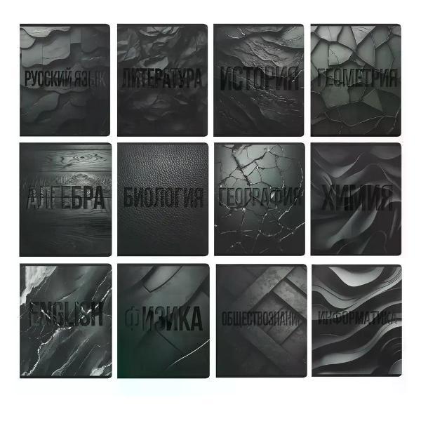 Изображение товара Сменный блок для тетради нет бренда Комплект тетрадей предметных 12 шт, 48 листов