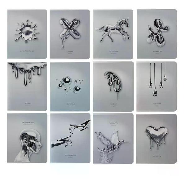 Изображение товара Сменный блок для тетради нет бренда Комплект тетрадей предметных 12 шт, 48 листов