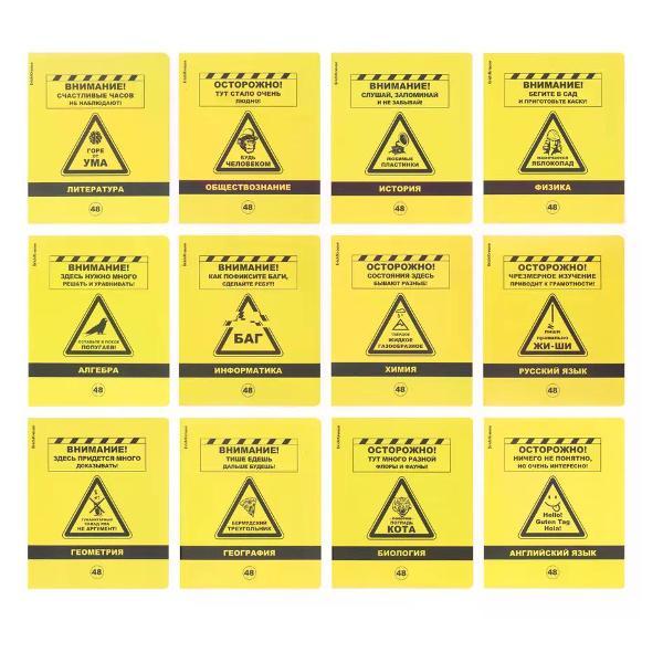 Изображение товара Сменный блок для тетради нет бренда Комплект тетрадей предметных 12 шт, 48 листов