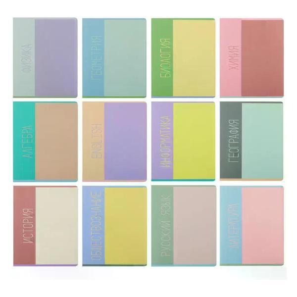 Изображение товара Сменный блок для тетради нет бренда Комплект тетрадей предметных 12 шт, 48 листов