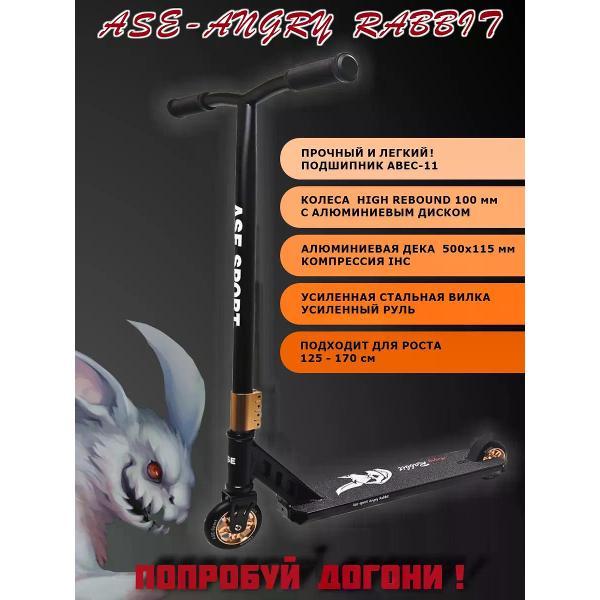 Изображение товара Самокат ASE-SPORT Трюковой самокат Изображение товара Самокат ASE-SPORT Трюковой самокат