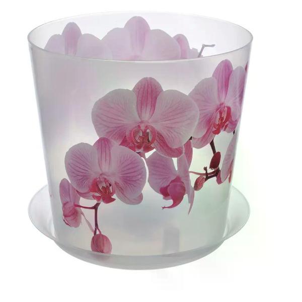 Изображение товара Кашпо для цветов М-пластика Кашпо для орхидей пластиковое 2.4 л. Изображение товара Кашпо для цветов М-пластика Кашпо для орхидей пластиковое 2.4 л.