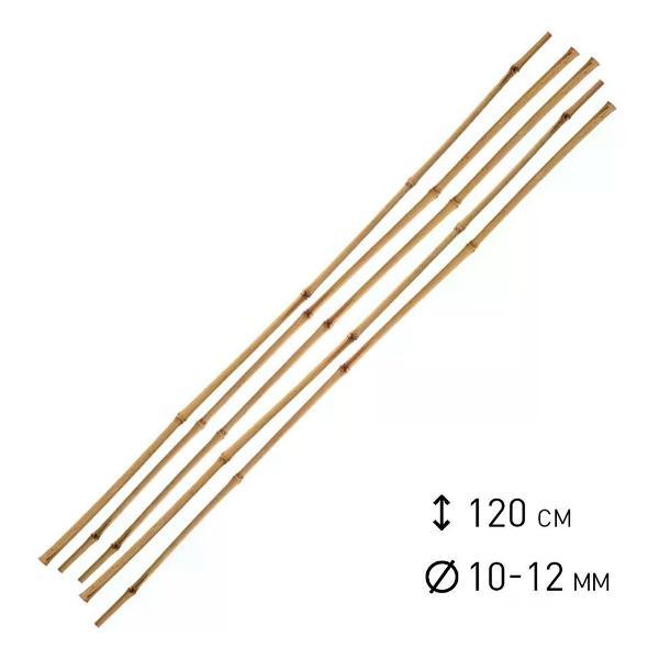 Изображение товара Опора для растений нет бренда Опора для растений бамбуковая