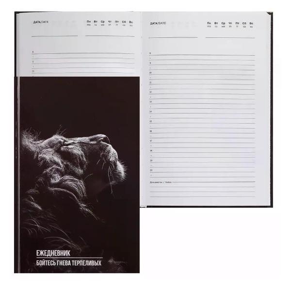 Изображение товара Ежедневник и еженедельник Brigfut Ежедневник недатированный