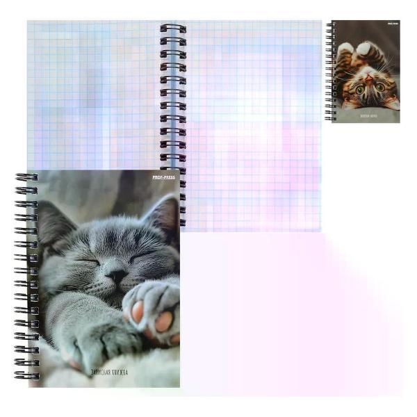 Изображение товара Записная книжка Феникс Книжка записная А6 120л