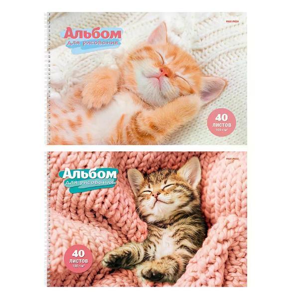 Изображение товара Наклейка для творчества NO NAME Альбом для рисования для малышей