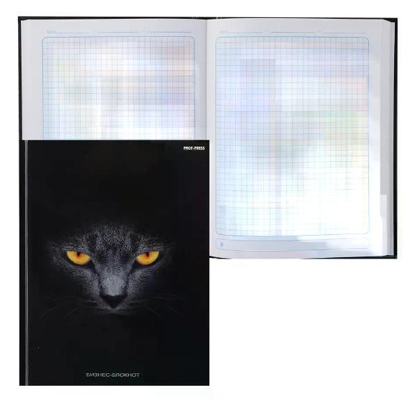 Изображение товара Записная книжка Проф-пресс Блокнот для записей