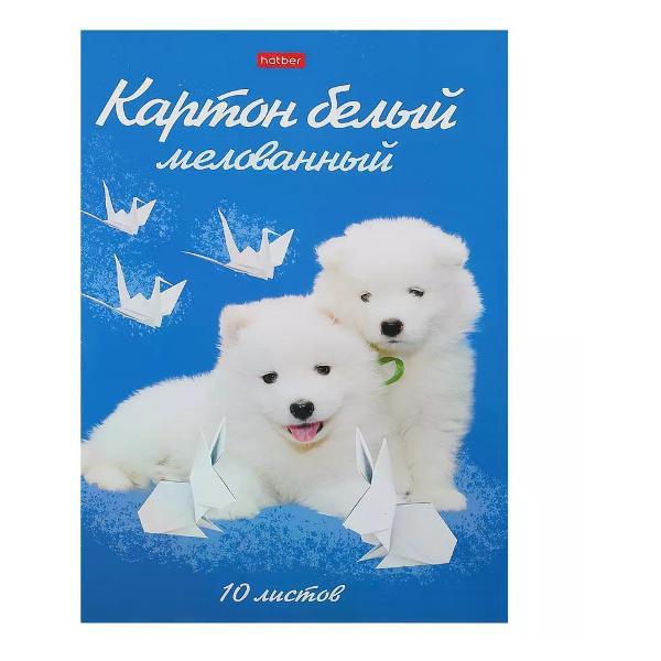 Изображение товара Картон Hatber Картон белый для школы, А4, 10 листов