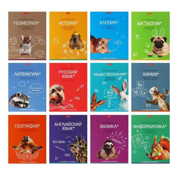 Изображение товара Сменный блок для тетради Hatber Комплект тетрадей предметных 12 шт, 48 листа - 1ед.