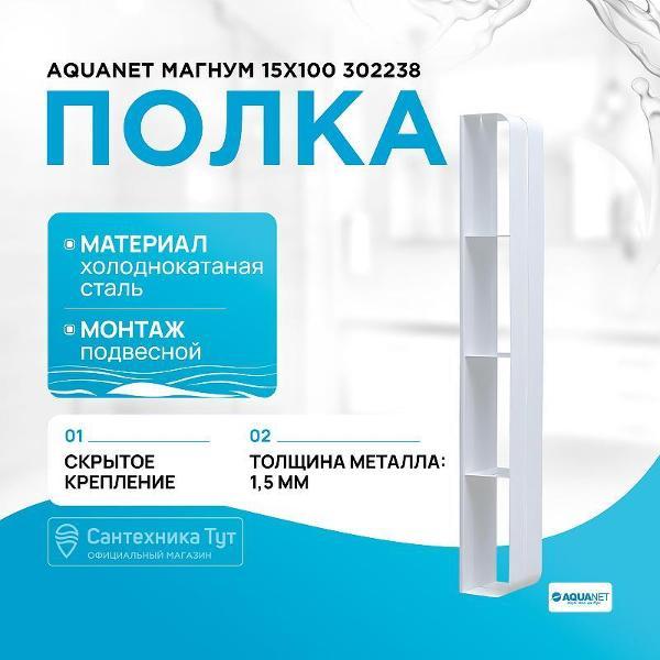 Изображение товара Полка для ванной Aquanet Магнум 15х100 302238