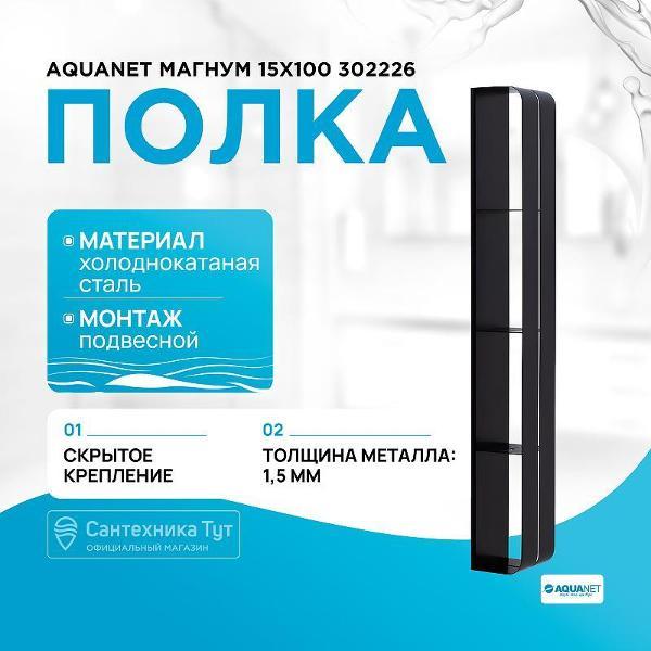 Изображение товара Полка для ванной Aquanet Магнум 15х100 302226