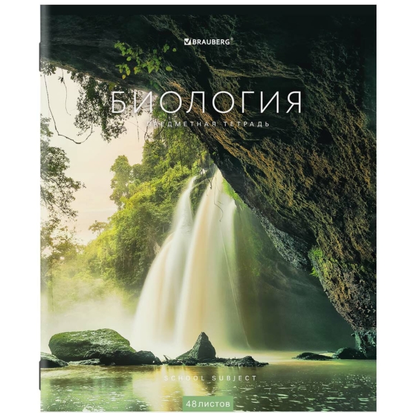 Изображение товара Тетрадь Brauberg КОМПЛЕКТ 12шт КЛАССИКА NEW