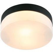 Изображение товара Светильник потолочный Arte Lamp A6047PL-1BK