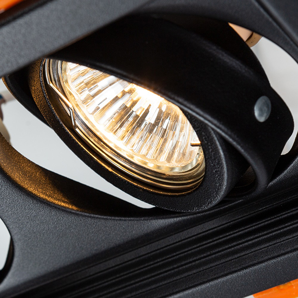 Изображение товара Светильник потолочный Arte Lamp A6661PL-2BK